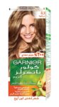 garnier-6.3-1